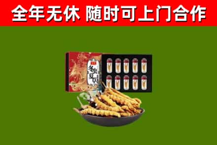 宝坻回收冬虫夏草价格