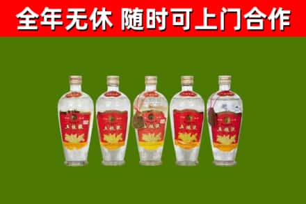 宝坻烟酒回收公斤五粮液.jpg